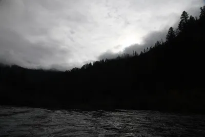 DSC_0169 (Large).JPG